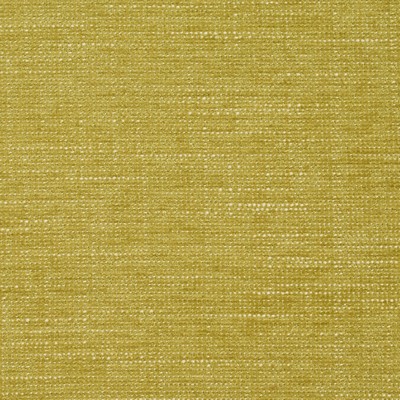 Charlotte Fabrics 8438 Citrus 