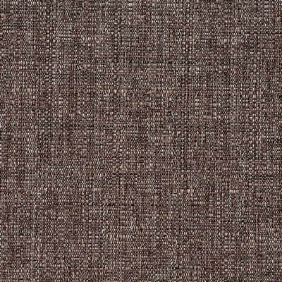 Charlotte Fabrics 8462 Hickory 