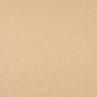 Charlotte Fabrics 9456 Sand