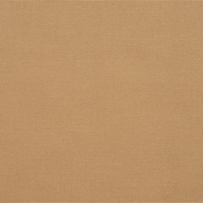 Charlotte Fabrics 9532 Beach Beach