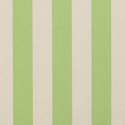 Charlotte Fabrics 9542 Spring Stripe Spring Stripe