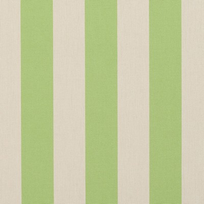 Charlotte Fabrics 9542 Spring Stripe Spring Stripe