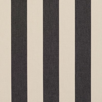 Charlotte Fabrics 9543 Graphite Stripe Graphite Stripe