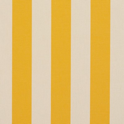 Charlotte Fabrics 9544 Marigold Stripe Marigold Stripe