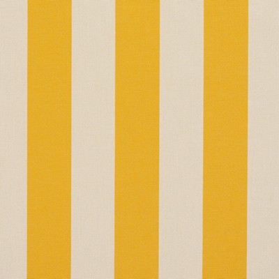 Charlotte Fabrics 9544 Marigold Stripe Marigold Stripe