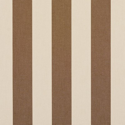 Charlotte Fabrics 9545 Khaki Stripe Khaki Stripe