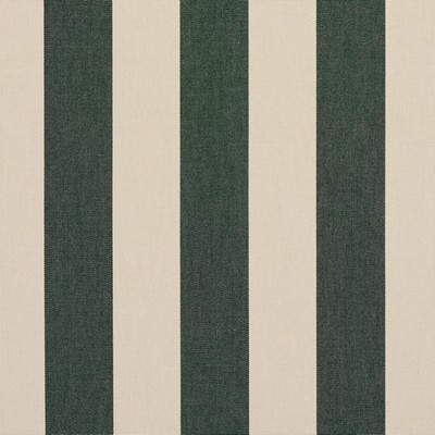 Charlotte Fabrics 9548 Hunter Stripe Hunter Stripe