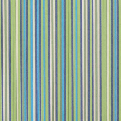 Charlotte Fabrics 9553 Meadow Meadow