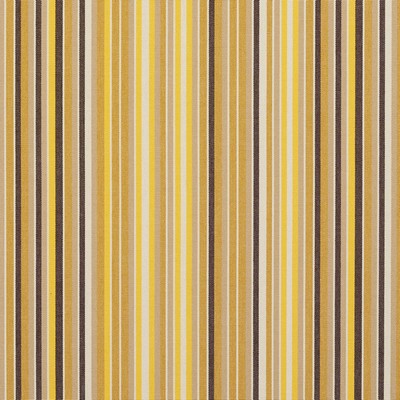 Charlotte Fabrics 9554 Sunflower Sunflower