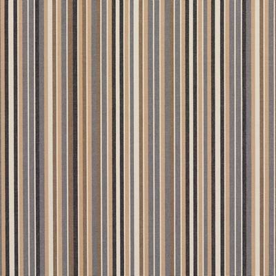 Charlotte Fabrics 9555 Earth Earth