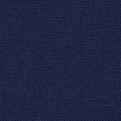 Charlotte Fabrics 9623 Indigo
