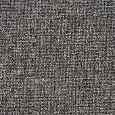 Charlotte Fabrics 9631 Slate
