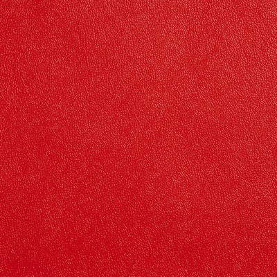 Charlotte Fabrics Allsport Red