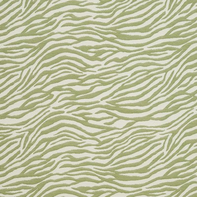 Charlotte Fabrics CB700-305 305
