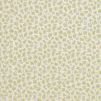 Charlotte Fabrics CB700-310 310