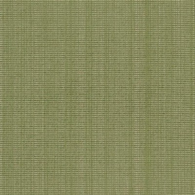 Charlotte Fabrics CB700-317 317