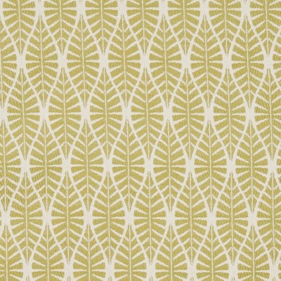 Charlotte Fabrics CB700-333 333