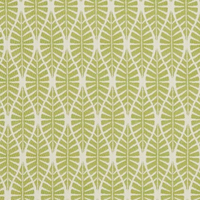 Charlotte Fabrics CB700-334 334