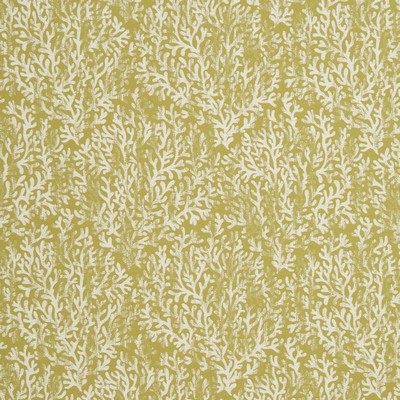 Charlotte Fabrics CB700-335 335