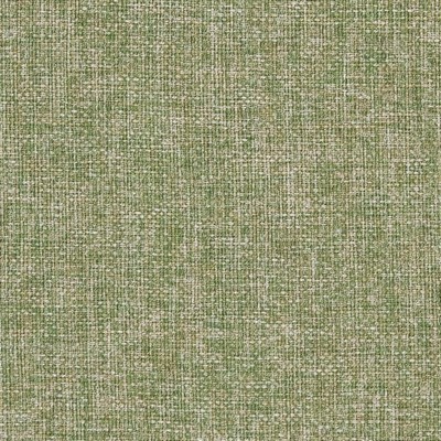 Charlotte Fabrics CB700-343 343