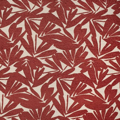 Charlotte Fabrics CB700-528 