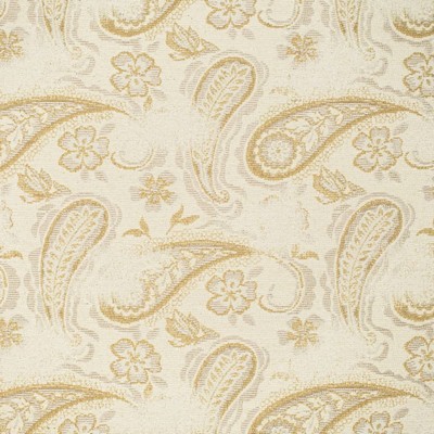 Charlotte Fabrics CB700-572 