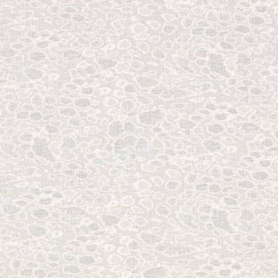 Charlotte Fabrics CB700-586 