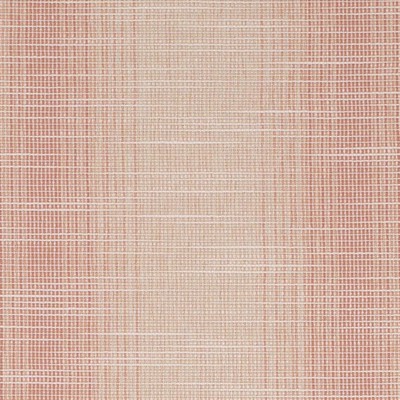 Charlotte Fabrics CB700-619 