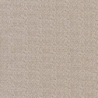 Charlotte Fabrics CB800-208 208