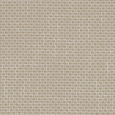 Charlotte Fabrics CB800-268 268