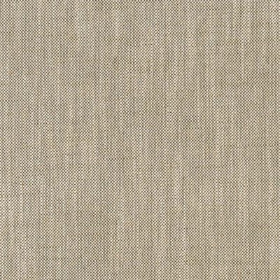 Charlotte Fabrics CB800-374 374