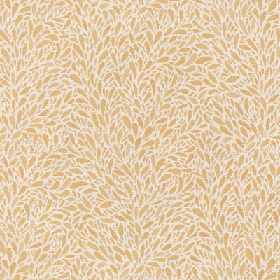 Charlotte Fabrics CB800-452 