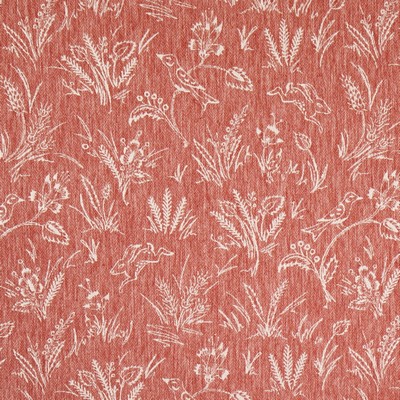 Charlotte Fabrics CB800-503 