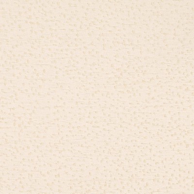 Charlotte Fabrics CB800-529 
