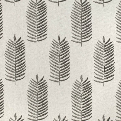 Charlotte Fabrics CB900-118 