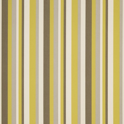 Charlotte Fabrics D1014 Lemon