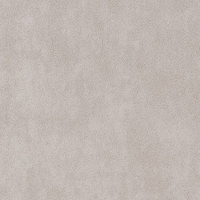 Charlotte Fabrics D1049 Dove