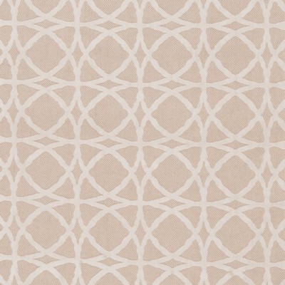 Charlotte Fabrics D1069 Ivory Twist