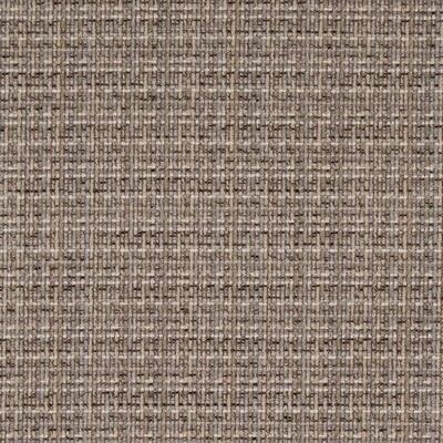Charlotte Fabrics D1175 Driftwood
