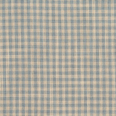 Charlotte Fabrics D118 Cornflower Gingham