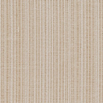 Charlotte Fabrics D1212 Cream