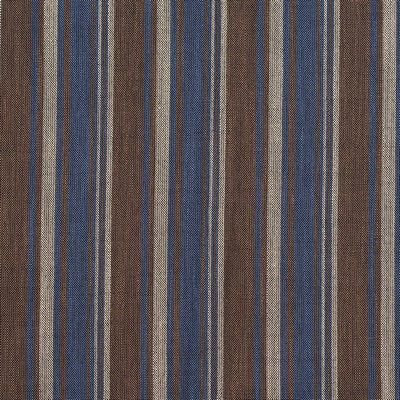 Charlotte Fabrics D134 Indigo Stripe