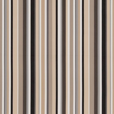 Charlotte Fabrics D1423 Desert Stripe