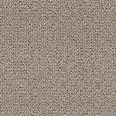 Charlotte Fabrics D1453 Granite Texture