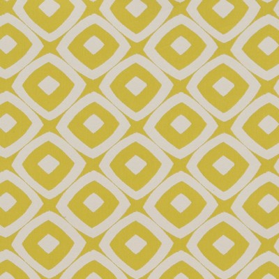 Charlotte Fabrics D1455 Lime Mayan