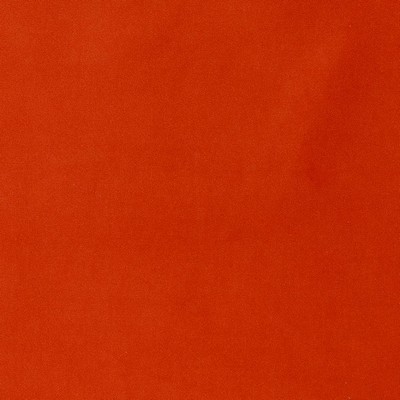 Charlotte Fabrics D1475 Tigerlily