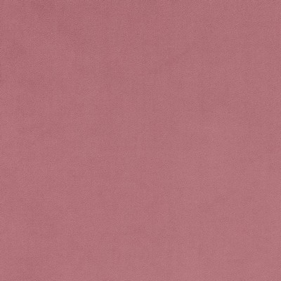 Charlotte Fabrics D1480 Rose