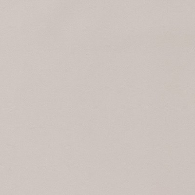 Charlotte Fabrics D1483 Koala