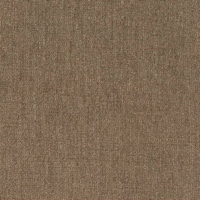 Charlotte Fabrics D1500 Driftwood
