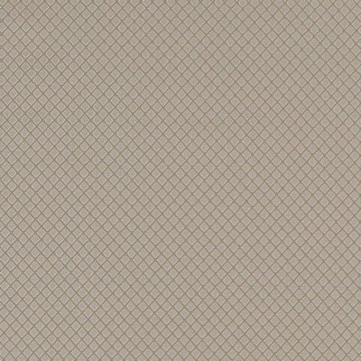 Charlotte Fabrics D1550 Pewter Diamond